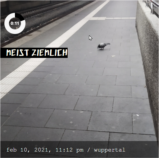 Illustrator Export-fester